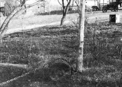 Removing Fence Posts Image